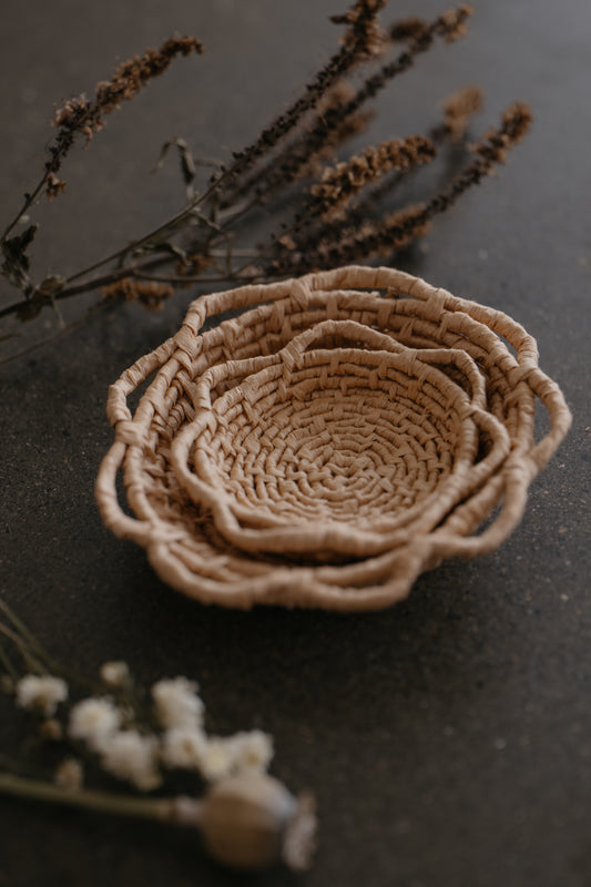 Small & Medium Daisy Baskets Combo