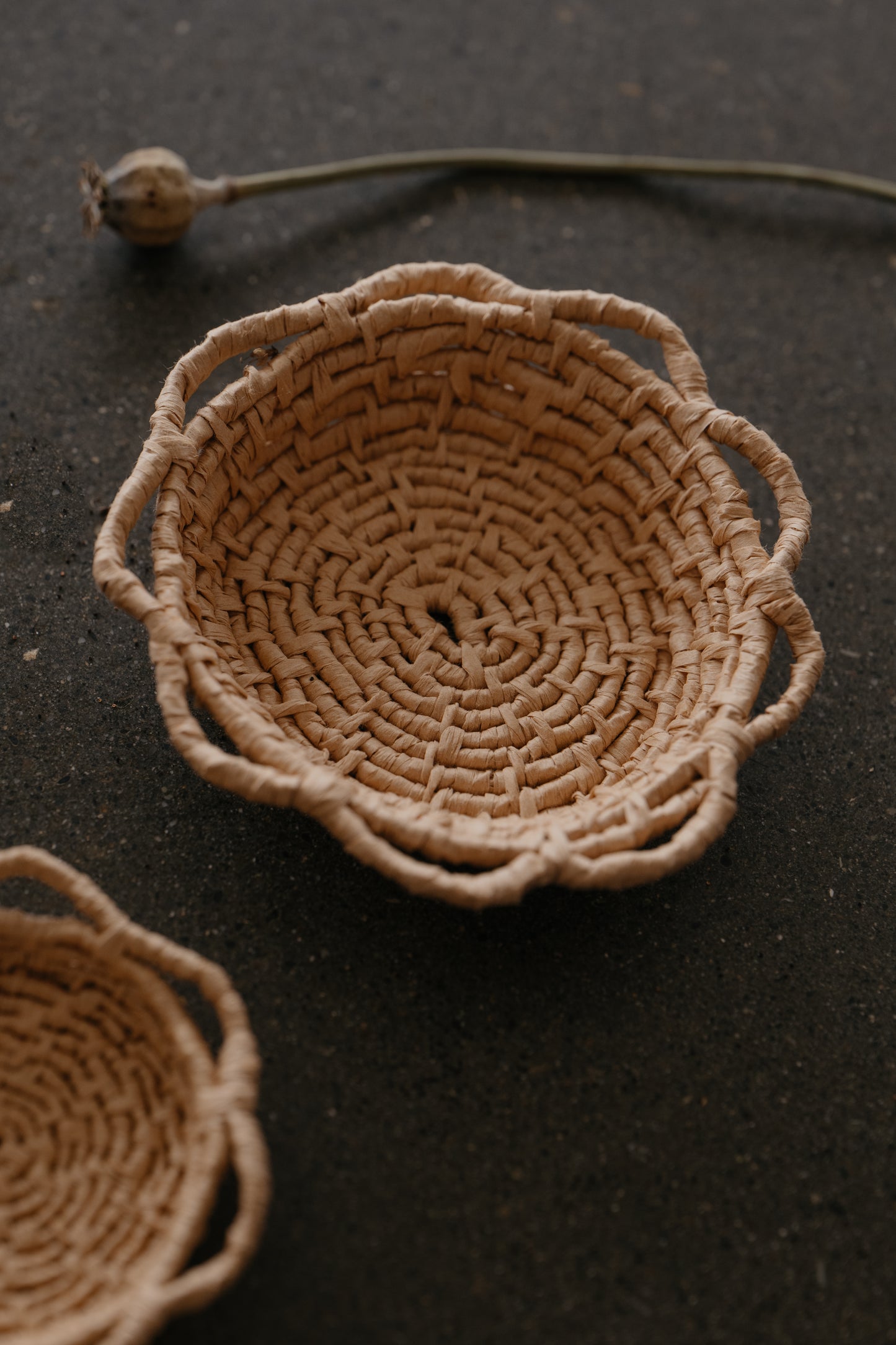 Small & Medium Daisy Baskets Combo